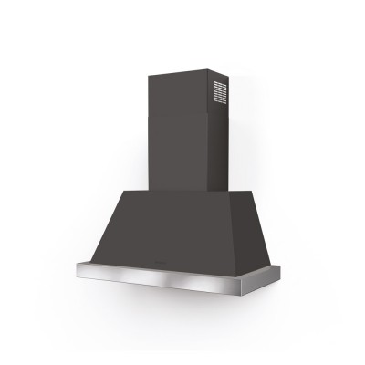 Campana de pared Faber thea 80 cm estructura de acero inoxidable gris