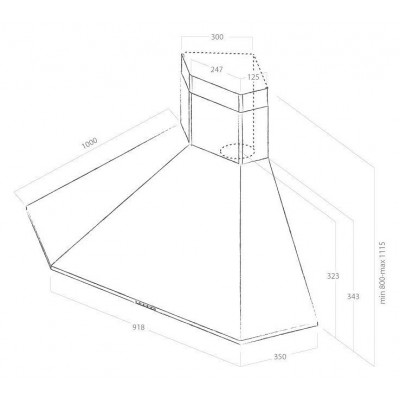 Elica Acuta corner hood 100 cm stainless steel