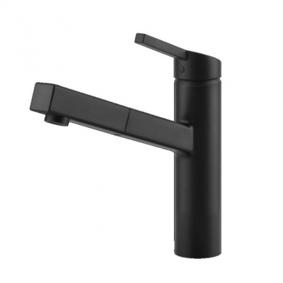 Gessi 60533 299 Thalium Mixer tap with black hand shower