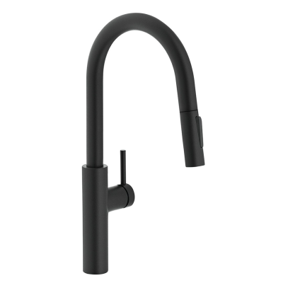 Mitigeur Franke Pescara Slide-In + douchette noir mat