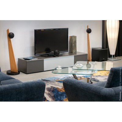 Cabasse Santorin 25 mk3 Subwoofer speaker matt black