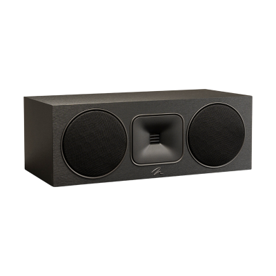 Altavoz de canal central MartinLogan Foundation C1 negro