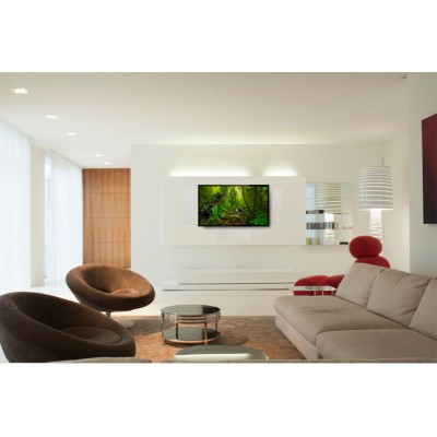 MartinLogan Motion XTW6-LCR 2-way rectangular in-wall speaker