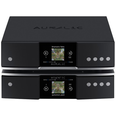 Streamer réseau noir Auralic Aries G1.1