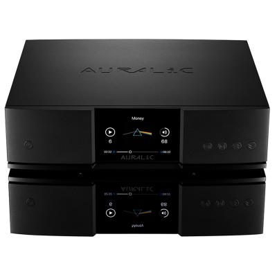 Auralic Aries G2.2 Netzwerk-Streamer ohne DAC Schwarz