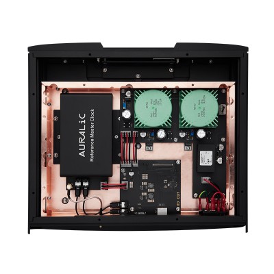 Auralic Leo GX.1 Ultraprecyzyjny generator zegara Czarny