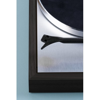 Pro-Ject Klasyczny gramofon EVO z napędem paskowym – Eukaliptus