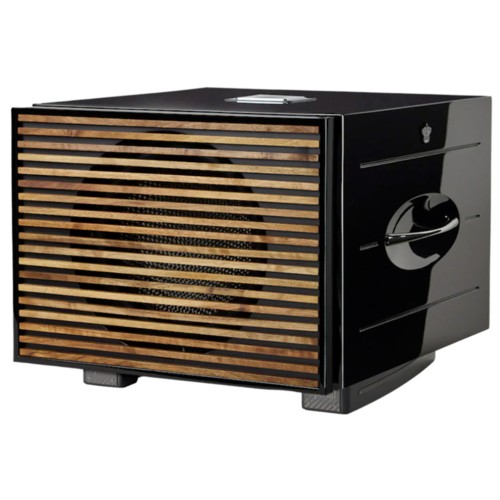 Subwoofer amplificado REL...