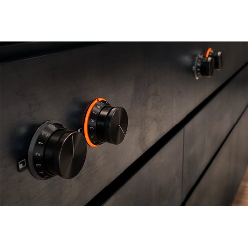 Gaggenau cv482105 piano cottura flex induction combi 400 80 cm
