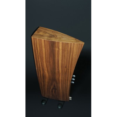 Scansonic hd q3 coppia diffusori da pavimento - legno noce