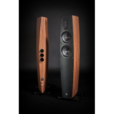 Scansonic hd q3 coppia diffusori da pavimento - legno noce