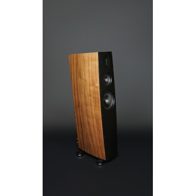 Scansonic hd q8 coppia diffusori da pavimento - legno noce