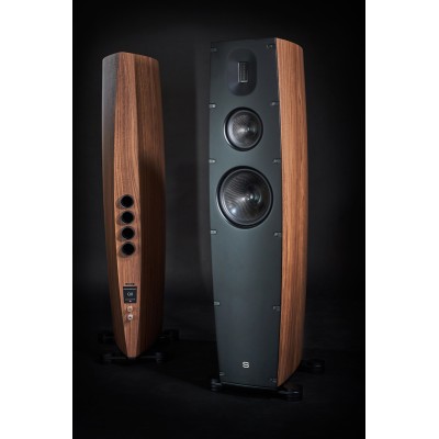 Scansonic hd q8 coppia diffusori da pavimento - legno noce