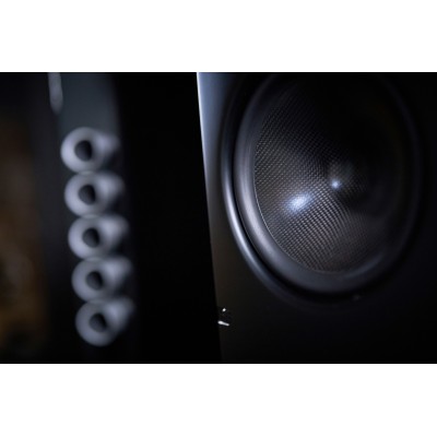Scansonic hd q10 coppia diffusori da pavimento - nero