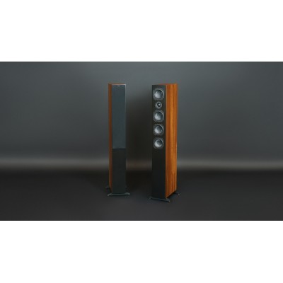 Scansonic hd L12 coppia diffusori da pavimento 3 vie  Hi-Fi - legno noce