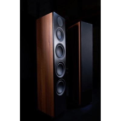 Scansonic hd L20 coppia diffusori da pavimento Full Range 3 vie Hi-Fi - legno noce