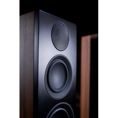 Scansonic hd L20 coppia diffusori da pavimento Full Range 3 vie Hi-Fi - legno noce
