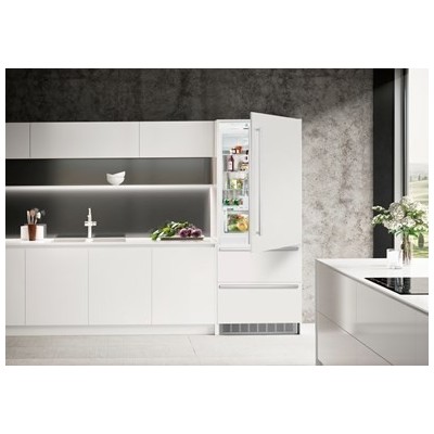 Réfrigérateur + congélateur encastrable Liebherr ecbn 5066